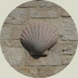 Coquille