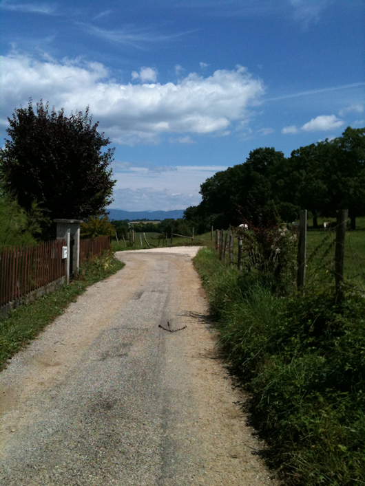 Vue sur la plaine depuis le Mont Tournier