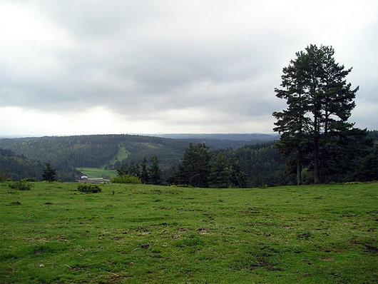 Margueride
